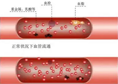 水净则血净，血净则身体无疾病！